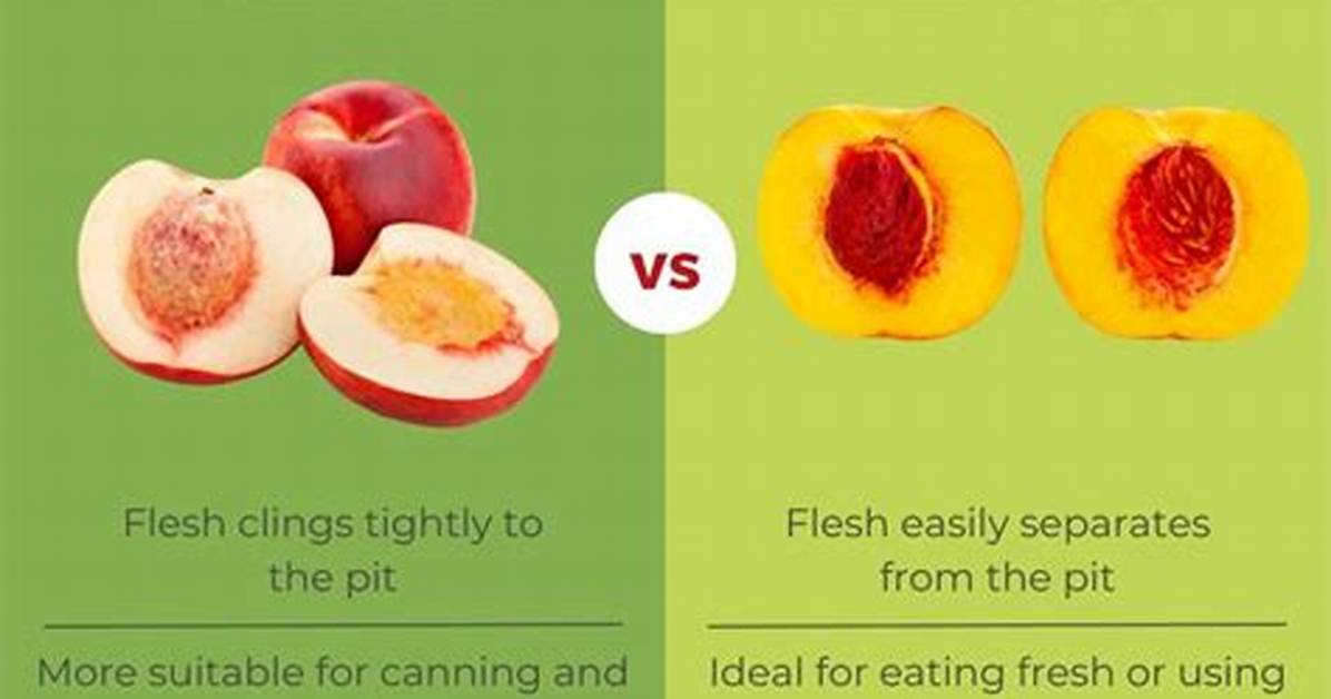 What Does Freestone Peach Mean?