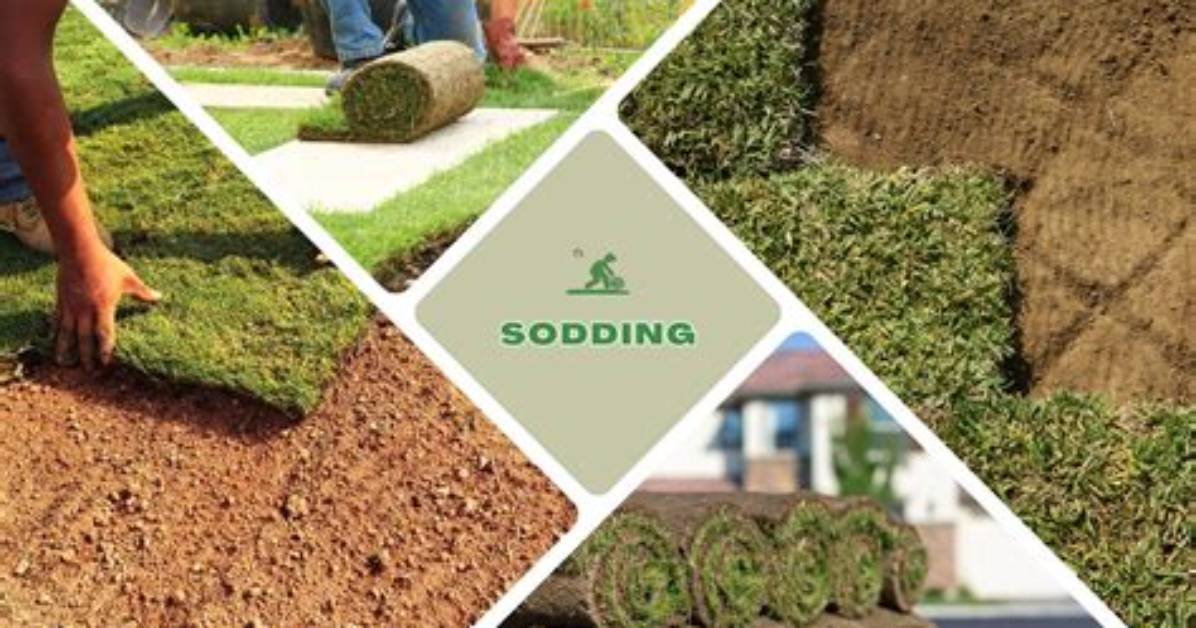 What Does Fully Sodded Mean?
