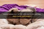 What Does Fully Vetted Mean?