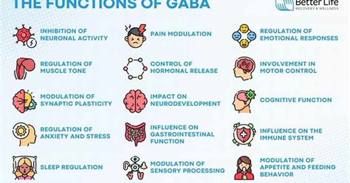 What Does Gaba Mean