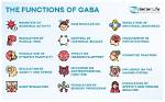 What Does Gaba Mean