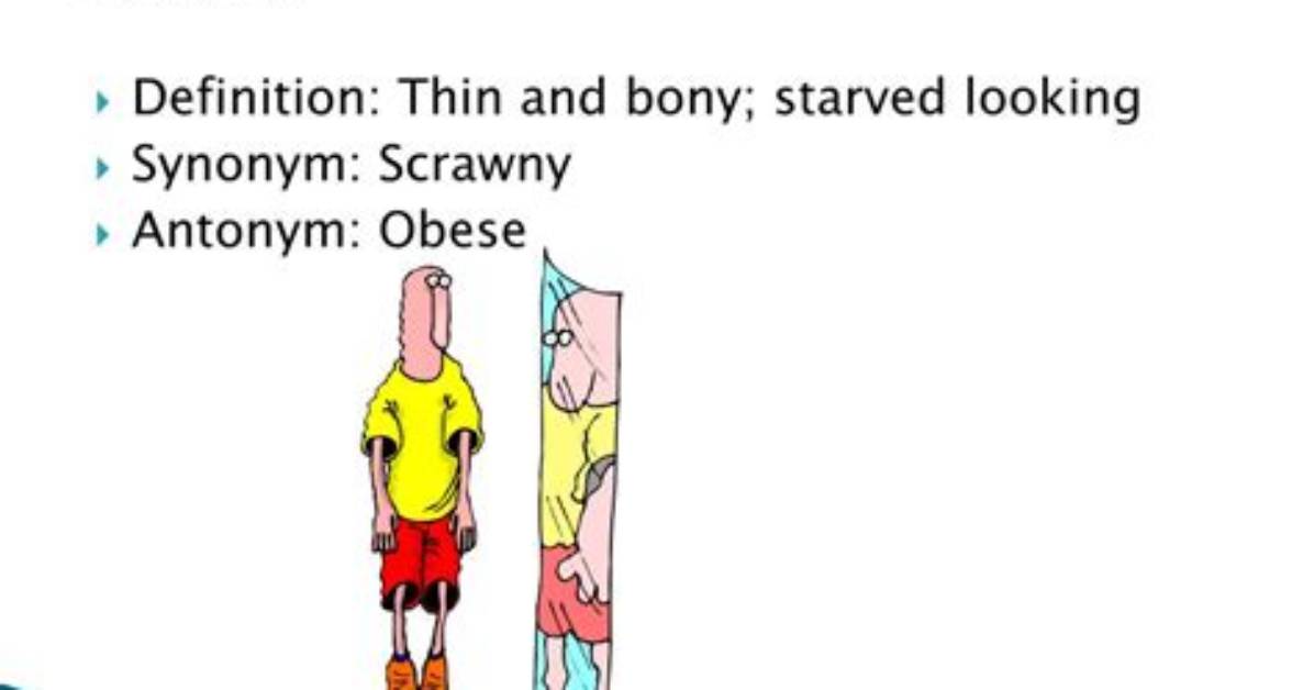 What Does Gaunt Definition?