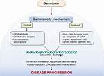 What Does Genotoxicity Mean