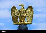 What Does German Eagle Represent?