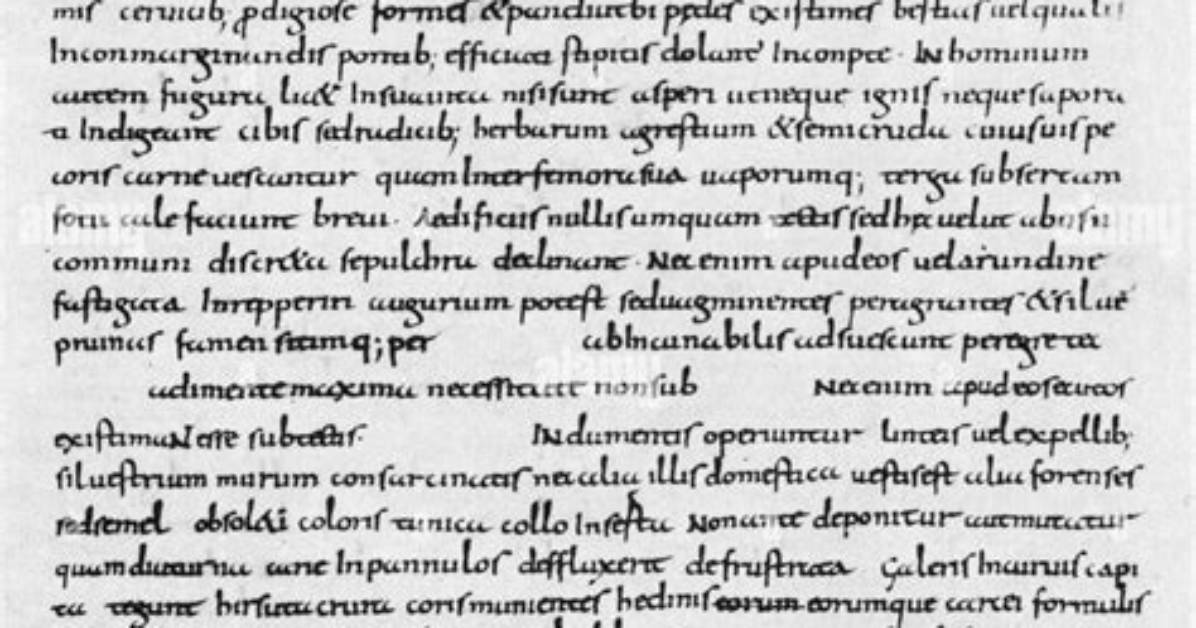 What Does Gestae Mean?