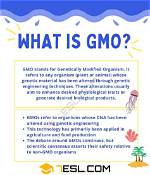 What Does Gmo Stand For