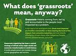 What Does Grassroots Mean