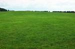 What Does Grassy Mean?
