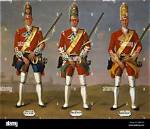What Does Grenadiers Mean?