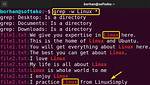 What Does Grep Line Buffering Do?