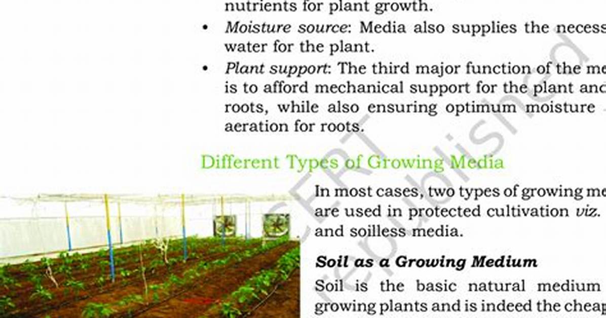 What Does Growing Medium Mean