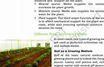 What Does Growing Medium Mean
