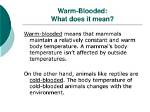 What Does Half Blooded Mean?
