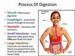 What Does Half-Digested Mean?