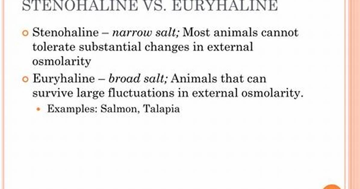 What Does Haline Mean?