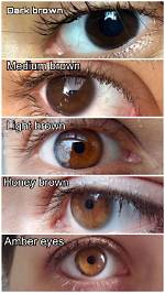 What Does Having Dark Features Mean?