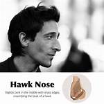 What Does Hawk Nose?