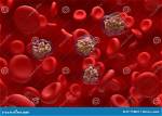What Does Hemotoxin Mean?