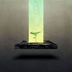What Does Hetaeras Mean?