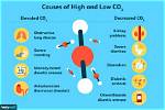 What Does High Co2 Mean
