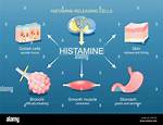 What Does Histamine Mean?