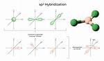 What Does Hybridization Mean?