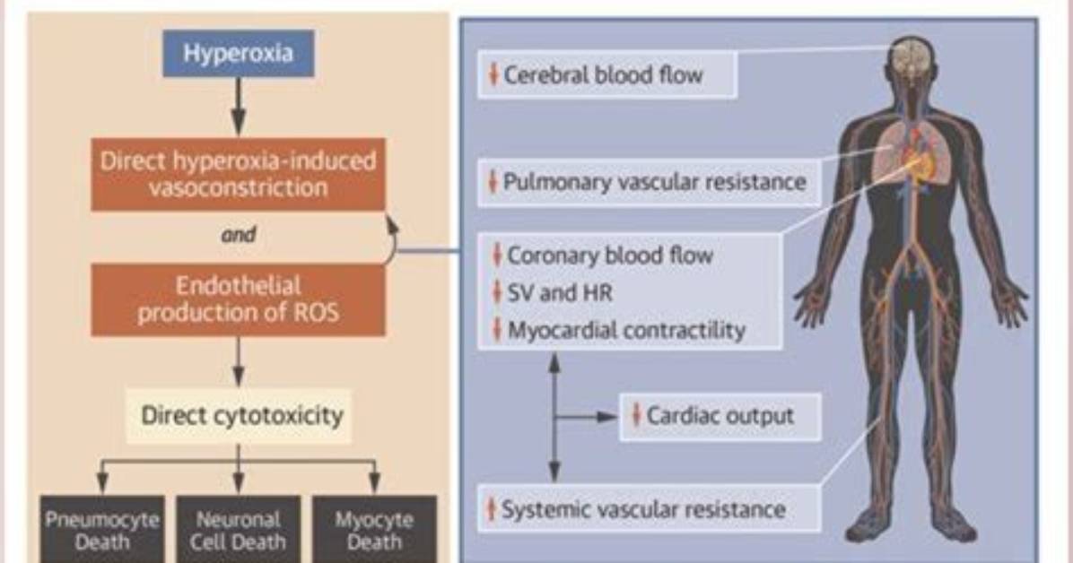 What Does Hyperoxemia Mean