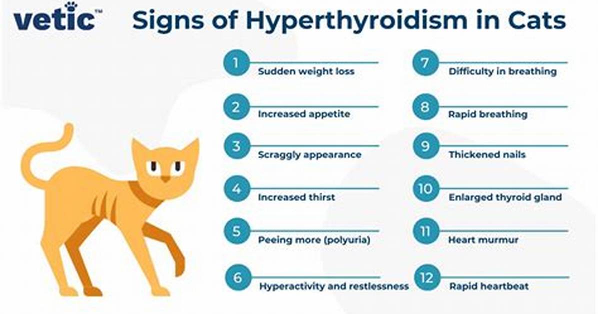 What Does Hyperthyroidism Do to a Cat
