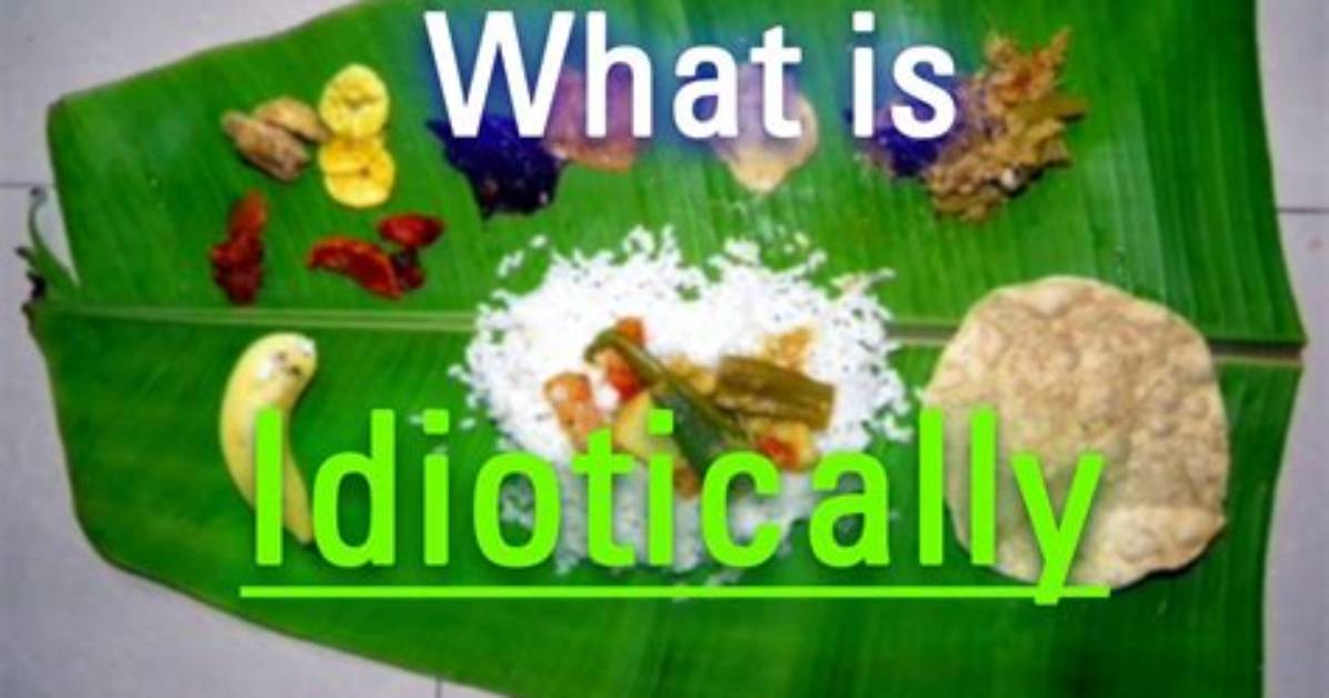 What Does Idiotically Meaning?