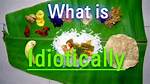 What Does Idiotically Meaning?