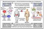 What Does Immunological Mean?