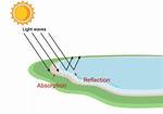 What Does Increase Absorption Mean?