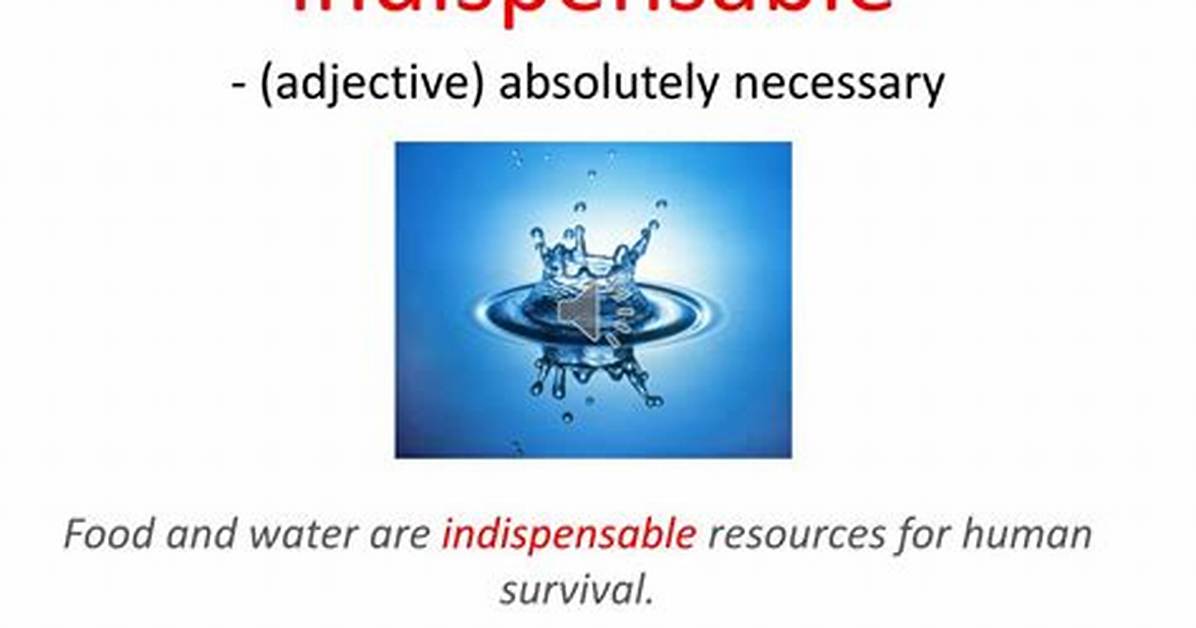 What Does Indispensable Mean