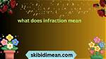 What Does Infraction Mean