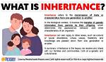 What Does Inheritance Mean?