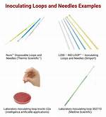 What Does Inoculating Loops Mean?