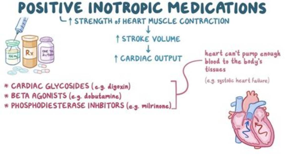 What Does Inotropic Effect Mean?