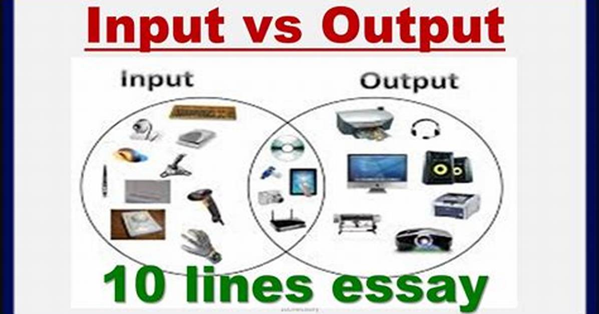 What Does Input Mean