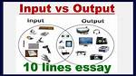 What Does Input Mean