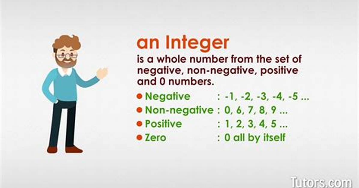 What Does Integer Mean