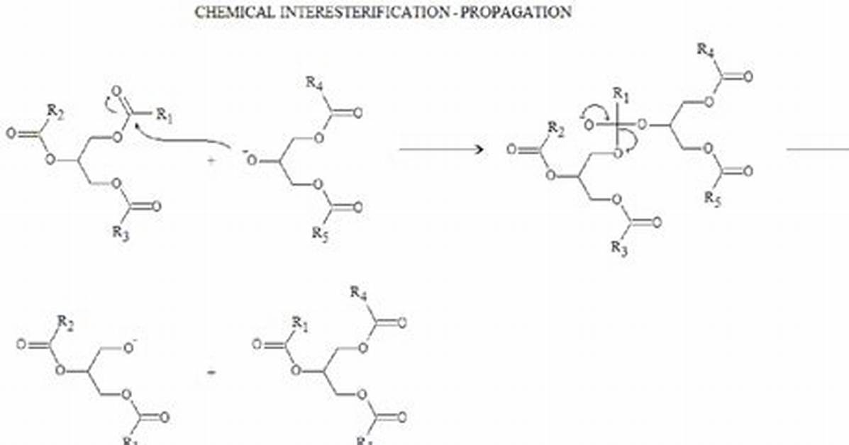 What Does Interesterification Mean?