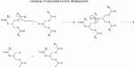 What Does Interesterification Mean?