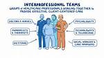 What Does Interprofessional Mean?