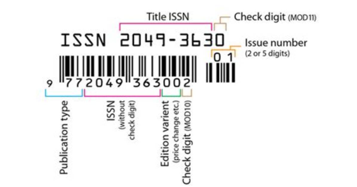 What Does Issue Number Mean?