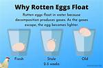 What Does It Mean When Eggs Float