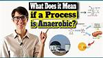 What Does It Mean When the Process Android Process Media Has Stopped?