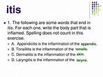 What Does Itis Mean