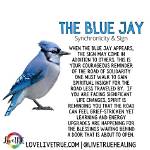What Does Jaybird Mean?