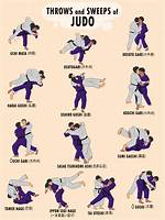 What Does Jiu-Jitsu Do to Your Body?