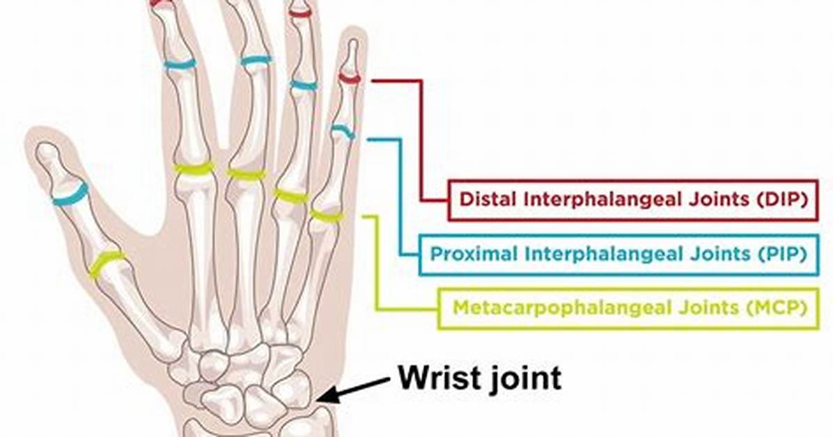 What Does Jointure Mean?